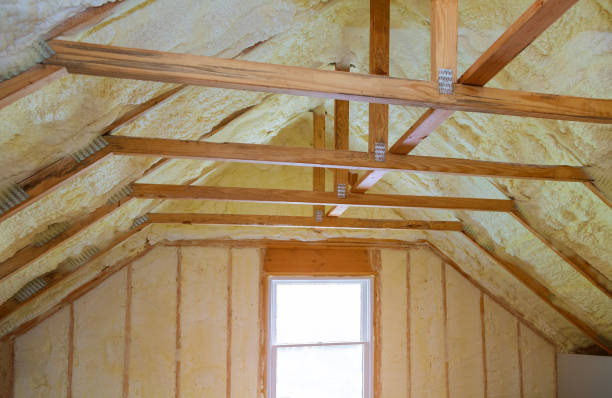 Best Local Insulation Services  in James City, NC
