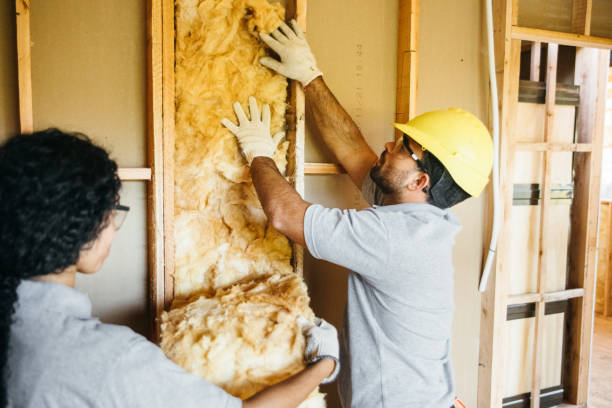 Insulation Inspection Services in James City, NC