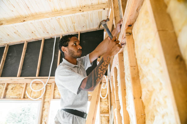 Best Home Insulation Services  in James City, NC