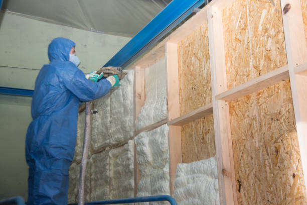 Best Insulation for Commercial Buildings  in James City, NC