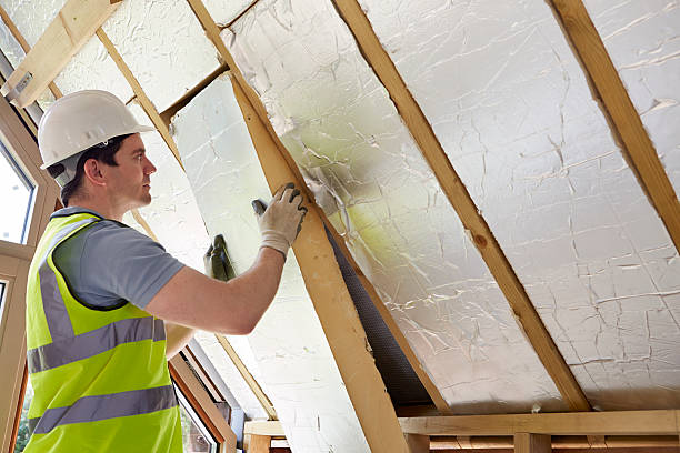 Best Insulation Inspection Services  in James City, NC
