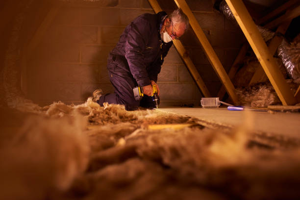 Professional Insulation Contractor in James City, NC